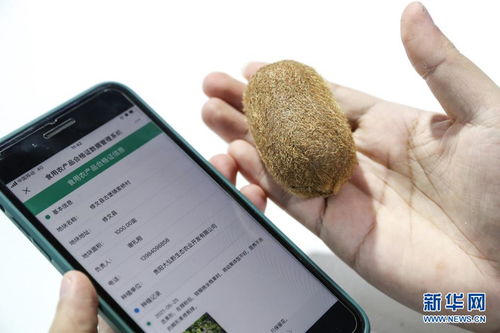 創(chuàng)新科技閃耀數(shù)博會(huì) 信息咨詢服務(wù)邁向新未來(lái)
