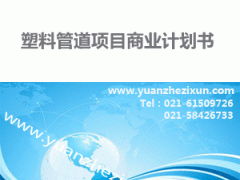 專業項目投資融資計劃書撰寫與全方位咨詢服務