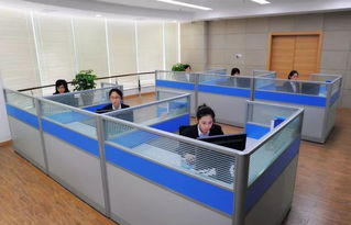 蒼南縣96345社會救助服務熱線今日開通，365天24小時全天候守護民生